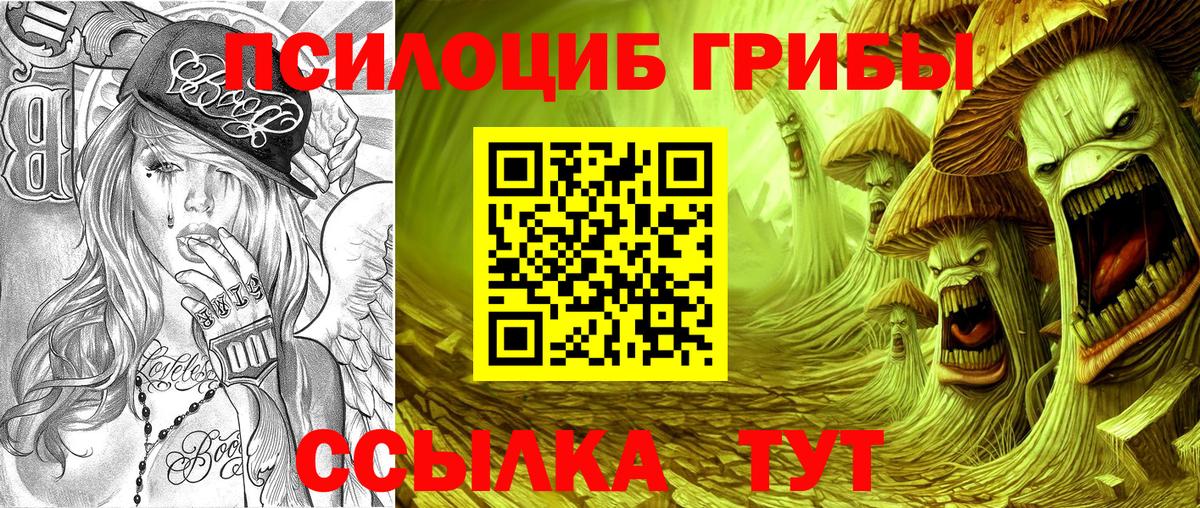 Алейск  Галлюциногенные грибы Cubensis  Вход с VPN 